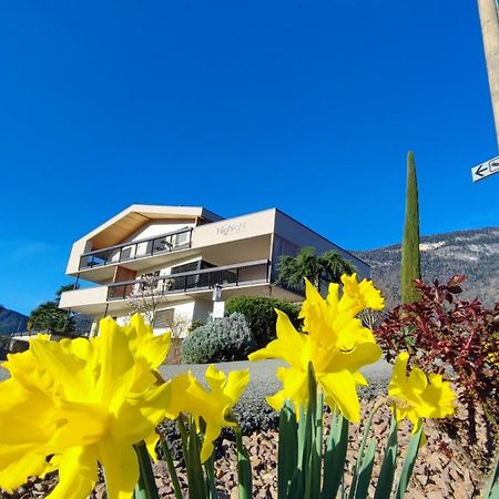 Highlight Apartments Appiano Sulla Strada Del Vino Ngoại thất bức ảnh