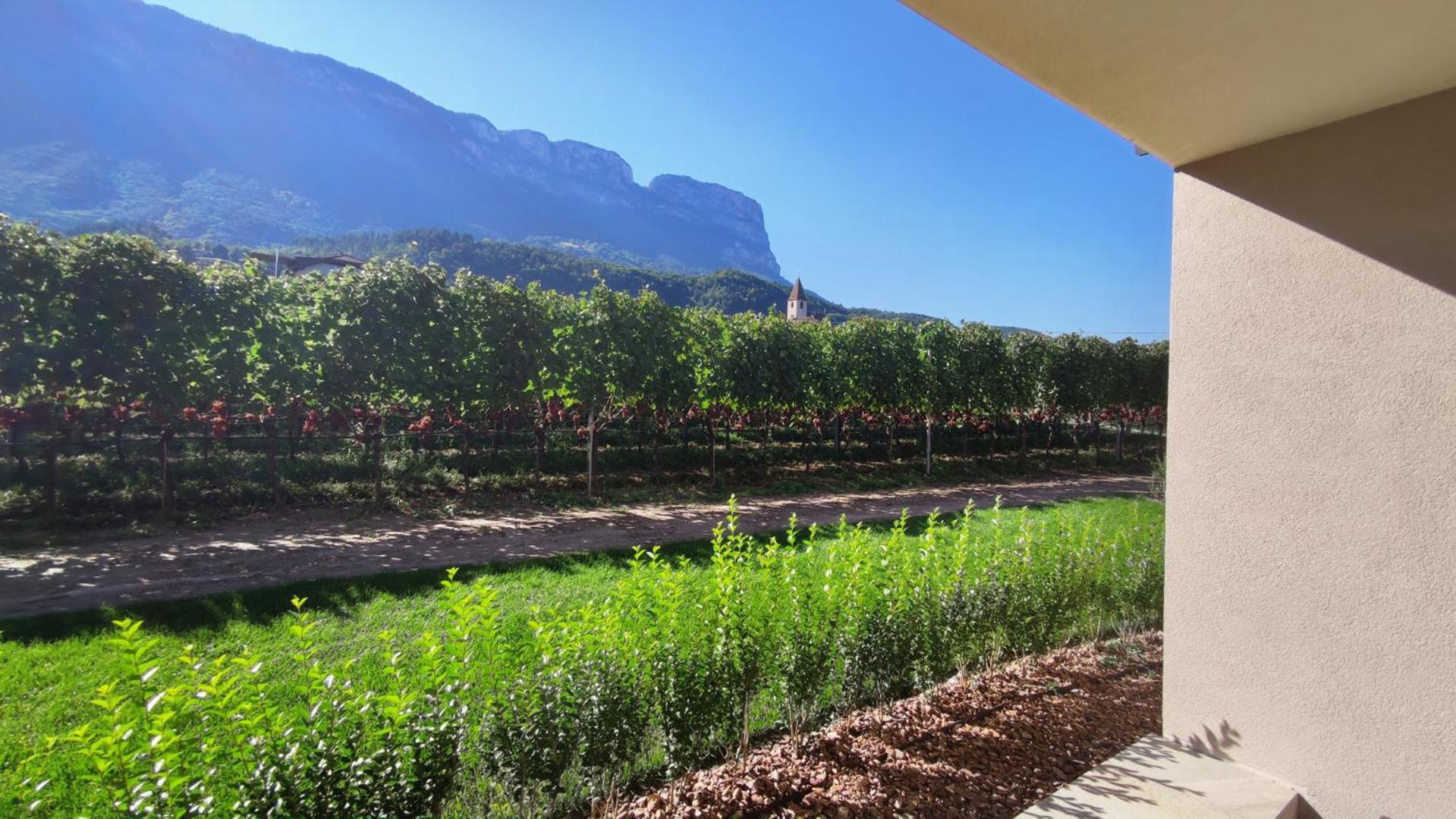 Highlight Apartments Appiano Sulla Strada Del Vino Phòng bức ảnh