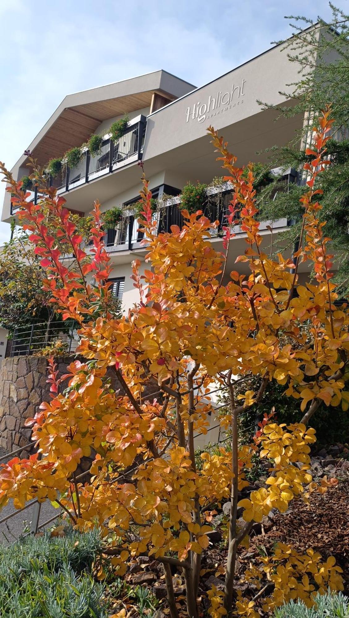 Highlight Apartments Appiano Sulla Strada Del Vino Ngoại thất bức ảnh